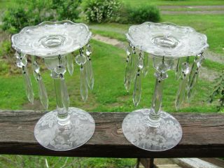 Vtg Cambridge Elegant Glass " Lorna " Etched Candle Holders W/crystal Prisms $nr