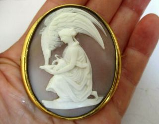 Victorian Large Fine Shell Cameo Zeus And Hebe Brooch