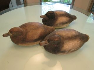 FLOCK of 7 WILD FOWLER Old Saybrook Conn solid wood BLUE BILL DRAKE DUCK DECOYS 8