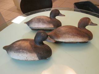 FLOCK of 7 WILD FOWLER Old Saybrook Conn solid wood BLUE BILL DRAKE DUCK DECOYS 9