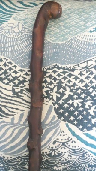 Vintage Irish Blackthorn Shillelagh Cane Walking Stick