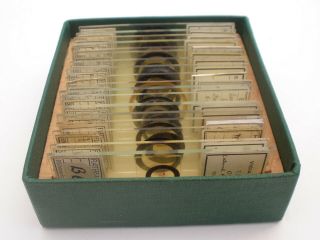 Vintage Microscope Slides.  Set Of 18 By Flatters And Garnett