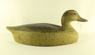 Antique Wood Duck Hunting Decoy Signed Chas Kpatsch Db Find Primitive Folk Art