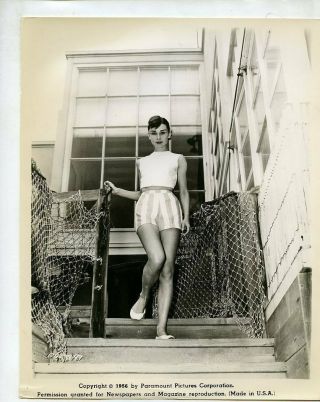T526 Vintage Movie Paramount Actor Photo Audrey Hepburn Breakfast At Tiffany 