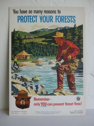 Vtg 1962 Smokey The Bear U.  S.  Forest Service Fishing Cardboard Poster Sign Orig