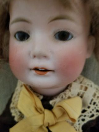 Bisque Antique Fy Nippon Boy Doll Euc.  Wig.  14 - A
