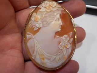 Big Antique Carved Shell Cameo Brooch Pendant 2 3/8 " Long Finely Carved Italian