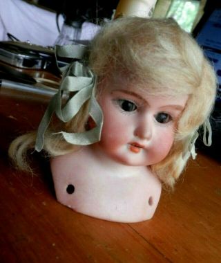 Vintage Collectible " Armand Marseilles " China Doll Head 9/0 - Nr/bo
