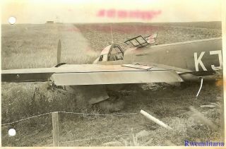 Press Photo: Terrific Luftwaffe Ju - 88 Bomber (kj,  Cq) Crashed In Field (2)