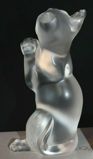 Vintage LALIQUE FRANCE Laughing Cat Frosted Clear Glass Figurine Orig Box Kitten 4