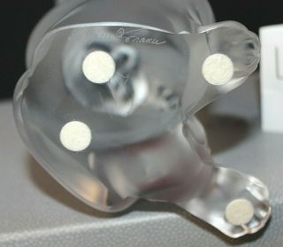 Vintage LALIQUE FRANCE Laughing Cat Frosted Clear Glass Figurine Orig Box Kitten 5