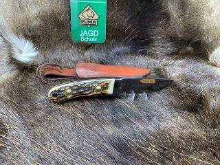 1992 Vintage Puma 6010 Skinmaster (Jagdmesser) Knife Stag Handles, 2