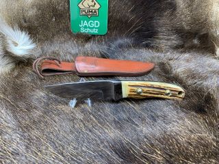 1992 Vintage Puma 6010 Skinmaster (Jagdmesser) Knife Stag Handles, 3