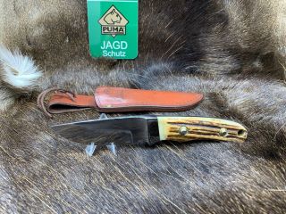 1992 Vintage Puma 6010 Skinmaster (Jagdmesser) Knife Stag Handles, 4