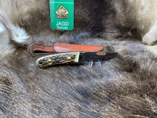 1992 Vintage Puma 6010 Skinmaster (Jagdmesser) Knife Stag Handles, 6