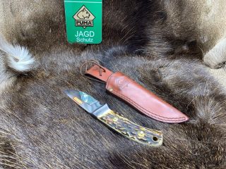 1992 Vintage Puma 6010 Skinmaster (Jagdmesser) Knife Stag Handles, 8