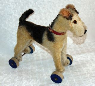Old Fantasitc Steiff Foxterrier Dog On Wheels With Steiff Button & Collar