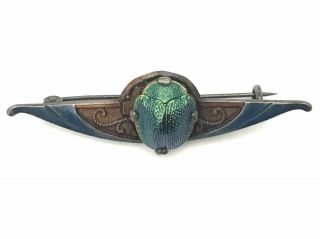 Exquisite Victorian Egyptian Revival Real Scarab Beetle Enamel Brooch Pin