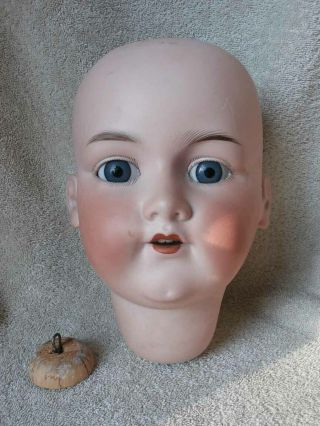 Antique German Armand Marseille 390 Ginormous Bisque Doll Head 18 " Circm