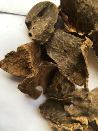 Agarwood Chips Oud Chips | Incense Aroma Natural Wild And Rare 50g