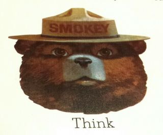13 Vintage Smokey The Bear Usda,  Forest Service & Nfes Fire Prevention Posters