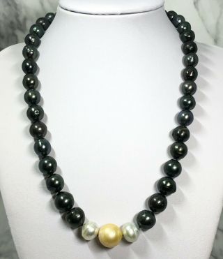 Rare Tahitian Australian South Sea Multi Colors 8.  7 - 13.  6mm Pearl 18.  5 " Necklace