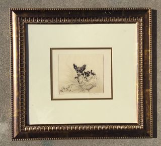 Vintage Dry Point Etching Print Spaniel Hunting Dog With Pheasant Diana Thorne
