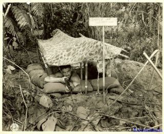Press Photo: Frontline Us Soldier In Jungle " Sniper Inn " Position; Bougainville