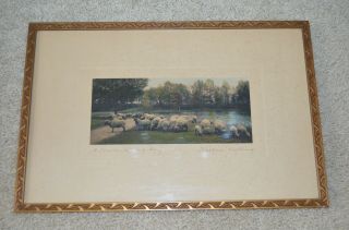 Vintage Wallace Nutting Hand Colored Photo of Sheep 