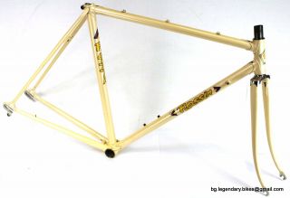 Vintage Racing Bike Frame Set Rossin Decals Lugged Steel Campagnolo Dropouts