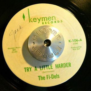 Northern Soul 45 - The Fi - Dels - Try A Little Harder /you Never Rare Orig Hear