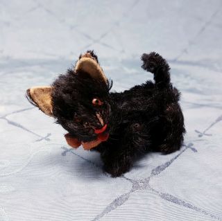 Schuco Miniature Noah`s Ark Scottish Terrier Scotty 1950s Nr