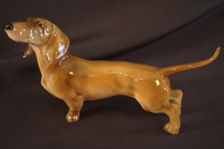 Vintage Dachshund Dog Figurine German Hutschenreuther Hr Germany Procelain 5.  5 " L