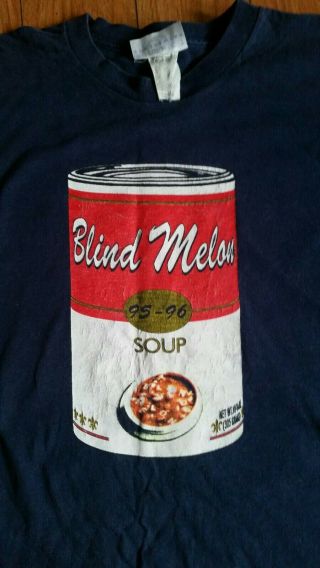 Vintage 90s Blind Melon Shirt Rare Soup Tshirt Pearl Jam Nirvana