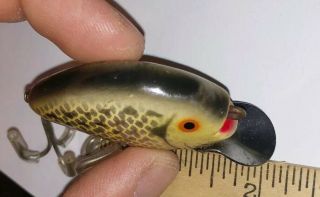 Stunning Vintage Wooden Heddon Punkinseed Lure Crappie Color Ex - Paint On Belly 4