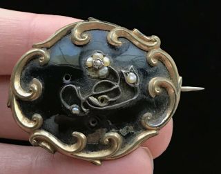 Antique 1861 Victorian Gf ? Flower Pearl Hair Mourning Brooch 2 " Repair M227