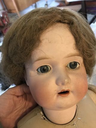 Morimura Brothers Japan Bisque Head Comp Body Brown Hair Doll 34 "
