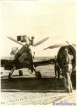 Press Photo: Rare Luftwaffe Me - 109 Fighter Plane Being Serviced; North Africa