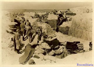 Press Photo: Overview German Troops In Trpical Kit In Positions; Kuban,  Russia