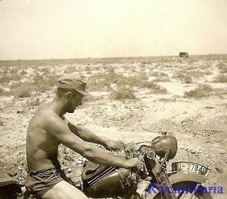 Luftwaffe Afrika Korps Soldier On Motorcycle (wl - 278419) In Desert