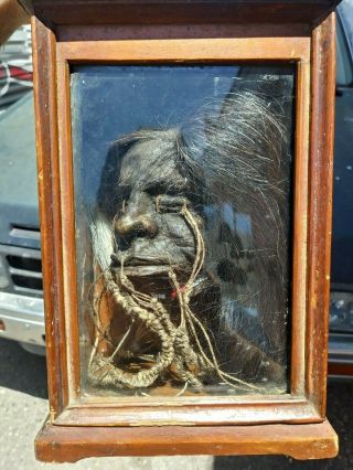 Shrunken Head,  Oddity,  Vintage Incredibly Realistic,  Real Skin And Hair