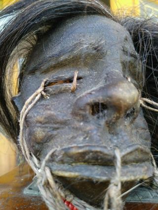 Shrunken head,  oddity,  vintage incredibly realistic,  real skin and hair 3