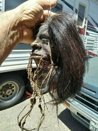 Shrunken head,  oddity,  vintage incredibly realistic,  real skin and hair 5