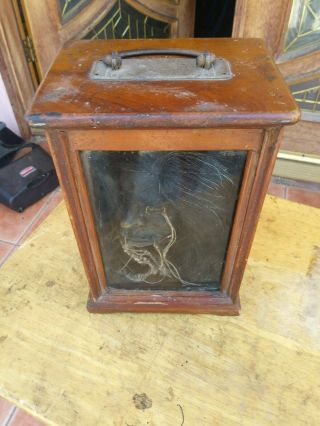 Shrunken head,  oddity,  vintage incredibly realistic,  real skin and hair 8
