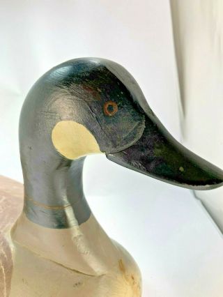 Vintage Large Canadian Goose All Wood Carved Decoy Artist Signed 21 3/4 