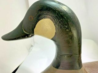 Vintage Large Canadian Goose All Wood Carved Decoy Artist Signed 21 3/4 