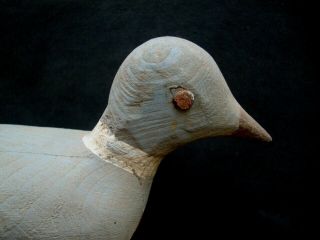 Antique Pigeon Dove Shorebird Decoy Folk Art Lure Nr