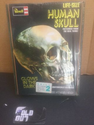 Vtg Factory Revell Life - Size Human Skull Glow In The Dark Model Kit 1977