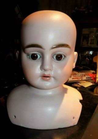 Antique Bisque Doll Head Made In Germany 1900 - 1910 8 Inches Tall