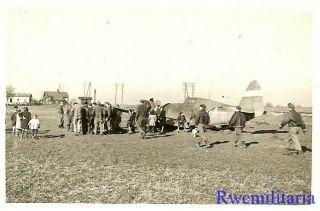 Org.  Photo: P - 47 Fighter Plane Crash Landed In Field; Italy
